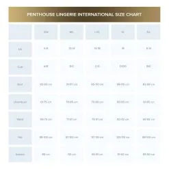 Penthouse Double Spice Lingerie Set 7 Penthouse Double Spice Lingerie Set -Verzorging Verkoop Penthouse Double Spice Lingerie Set 3