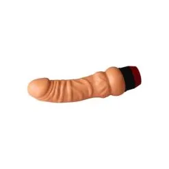 Realistische Vibrator - 17 Cm -Verzorging Verkoop Realistische Vibrator 17 cm 3
