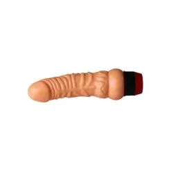 Realistische Vibrator - 17 Cm -Verzorging Verkoop Realistische Vibrator 17 cm 4