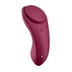 Satisfyer Sexy Secret Panty Vibrator Met App