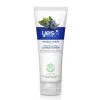 Yes To Blueberries Conditioner For Frizzie Hair -Verzorging Verkoop Yes To Blueberries Conditioner For Frizzie Hair